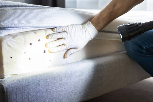 Pest Prevention Services in Ahoskie, NC