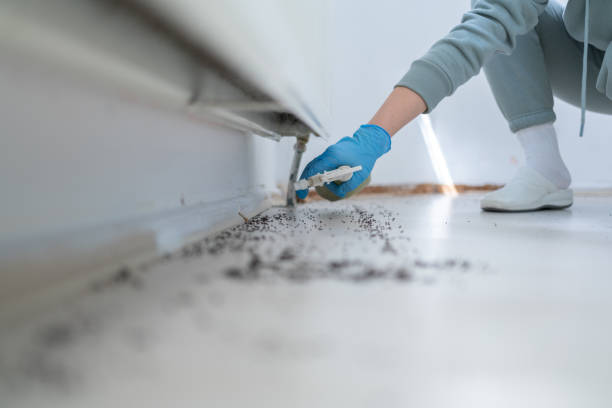 Best Commercial Pest Control Services  in Ahoskie, NC